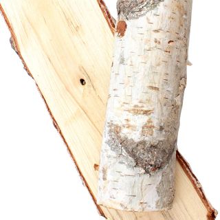 Lá bạch dương Lá bạch dương