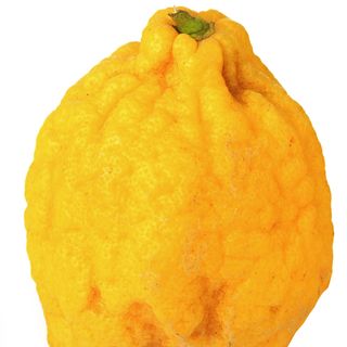 Cây thanh yên Cây thanh yên