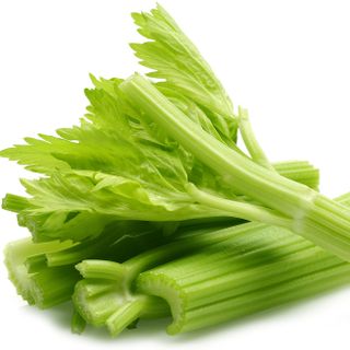 Cây cần tây Cây cần tây