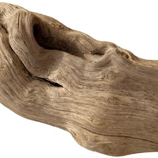 Gỗ Trôi Dạt Gỗ Trôi Dạt