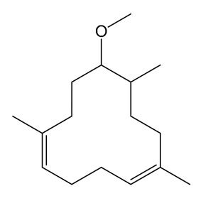 Hương Lorenox Hương Lorenox