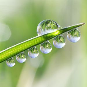 Giọt sương Giọt sương