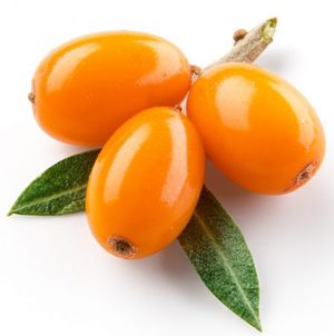 Hắc mai biển Hắc mai biển