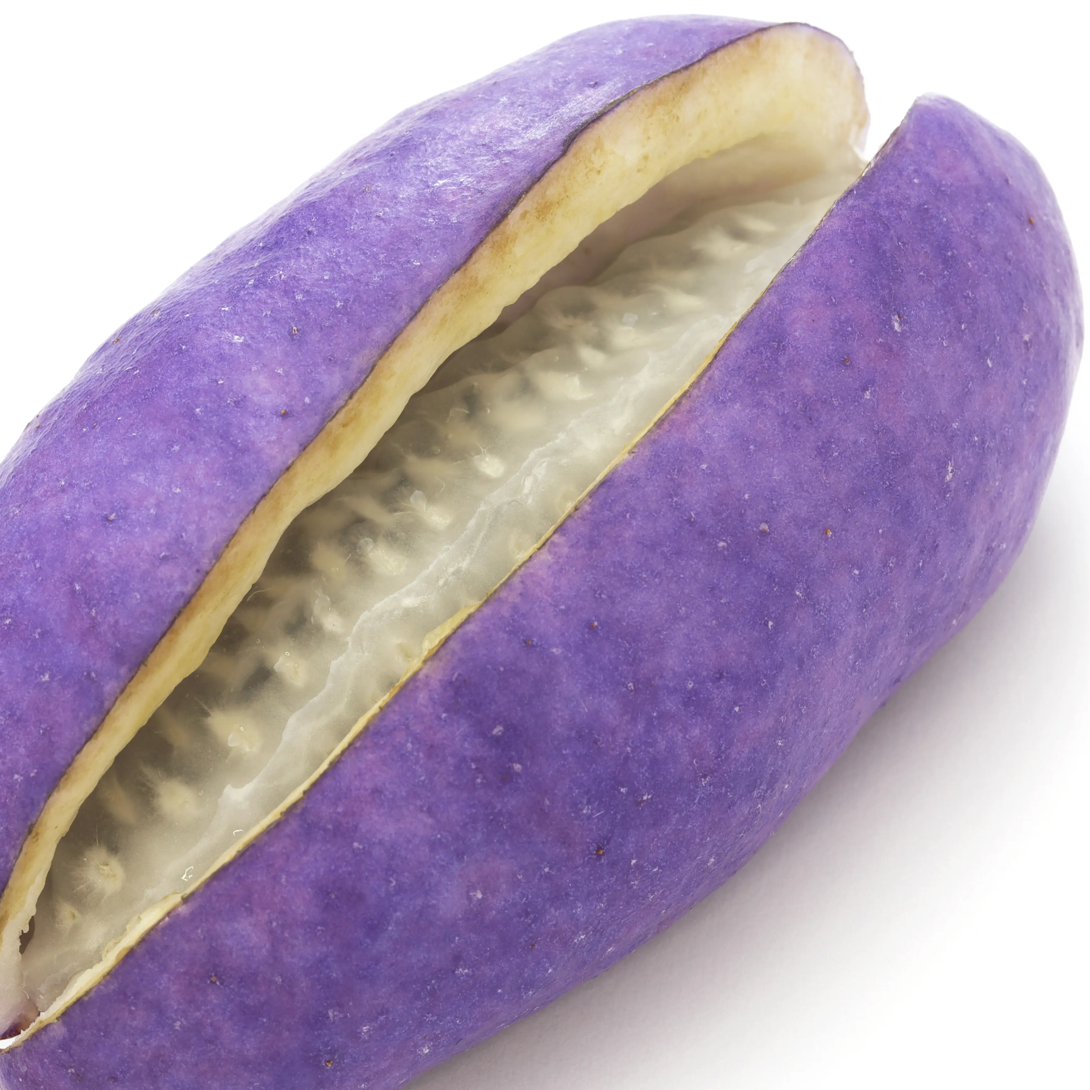 Quả Akebia