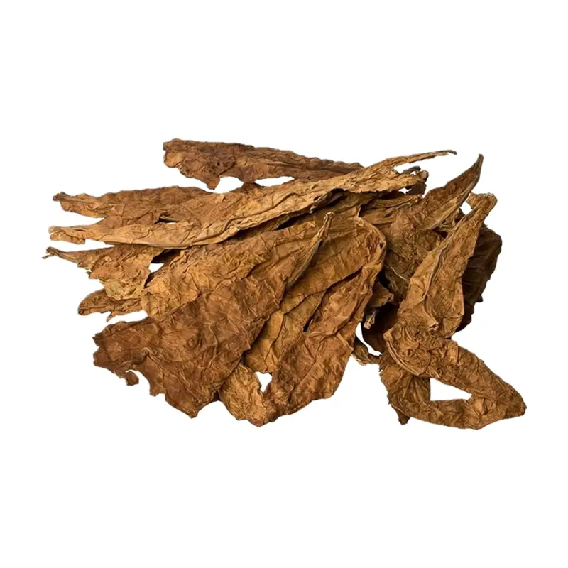 Thuốc lá nhẹ Bulgaria