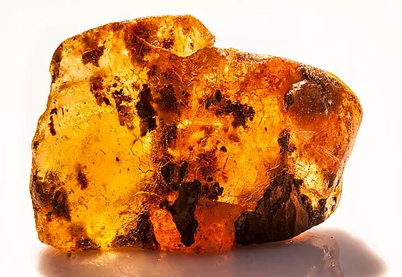 Hương gỗ, hổ phách