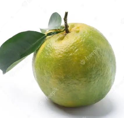 Quýt xanh