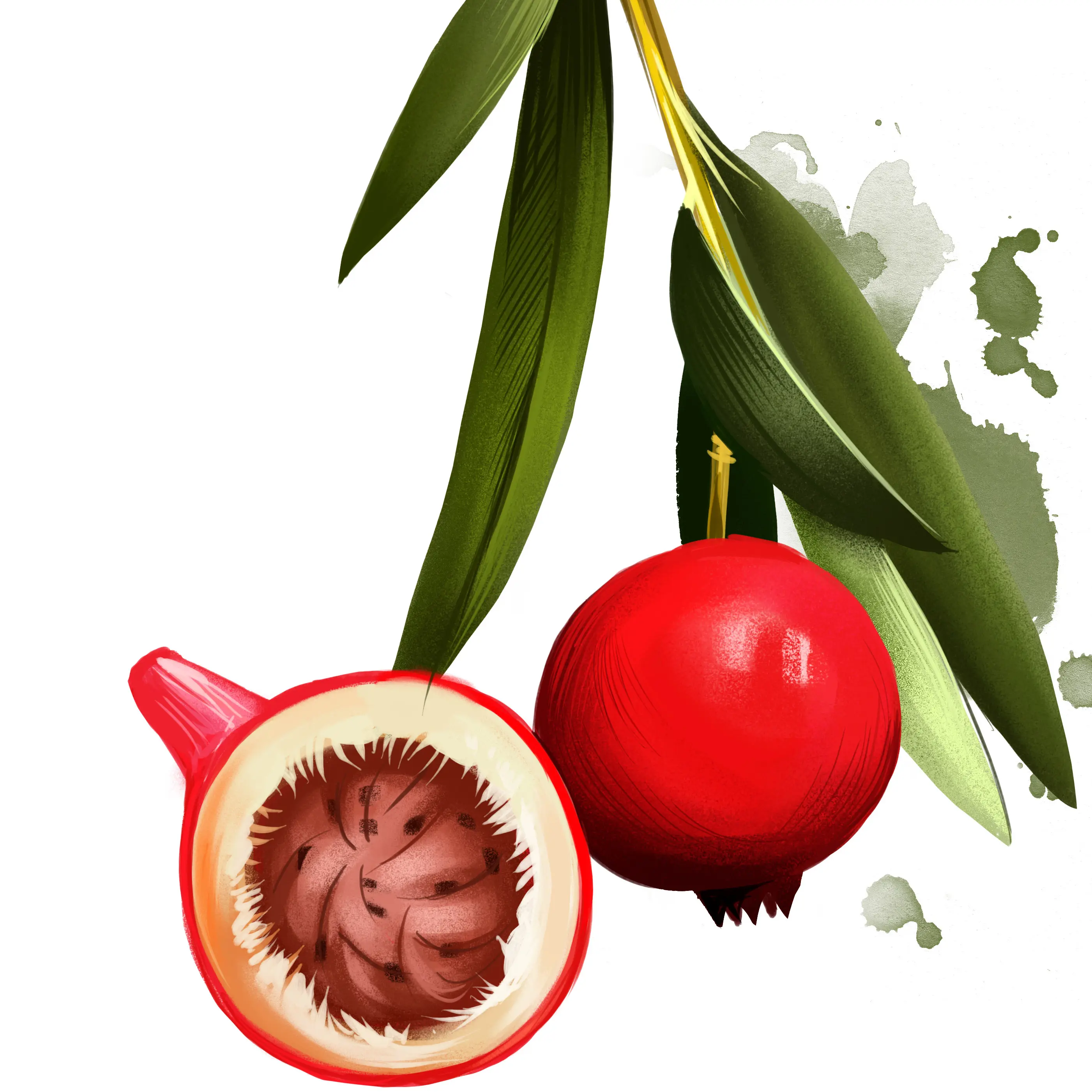Đào sa mạc Quảng Đông