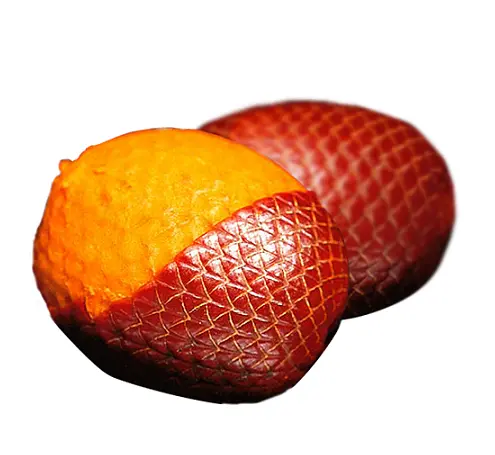 Cọ Buriti