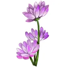 Hoàng kỳ