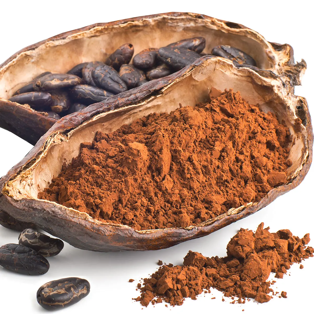Vỏ Quả Cacao