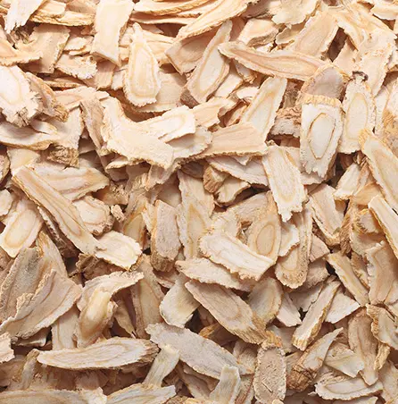 Rễ Cây Bạch Chỉ