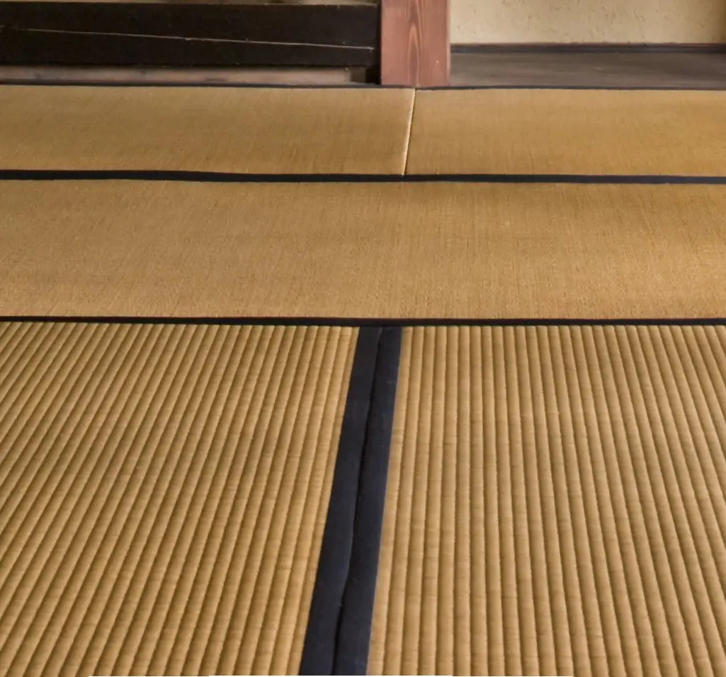 Chiếu tatami