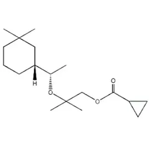 Xạ hương