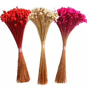 Thường xanh