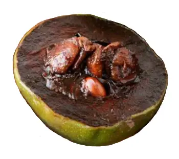 Quả Hồng Xiêm Đen