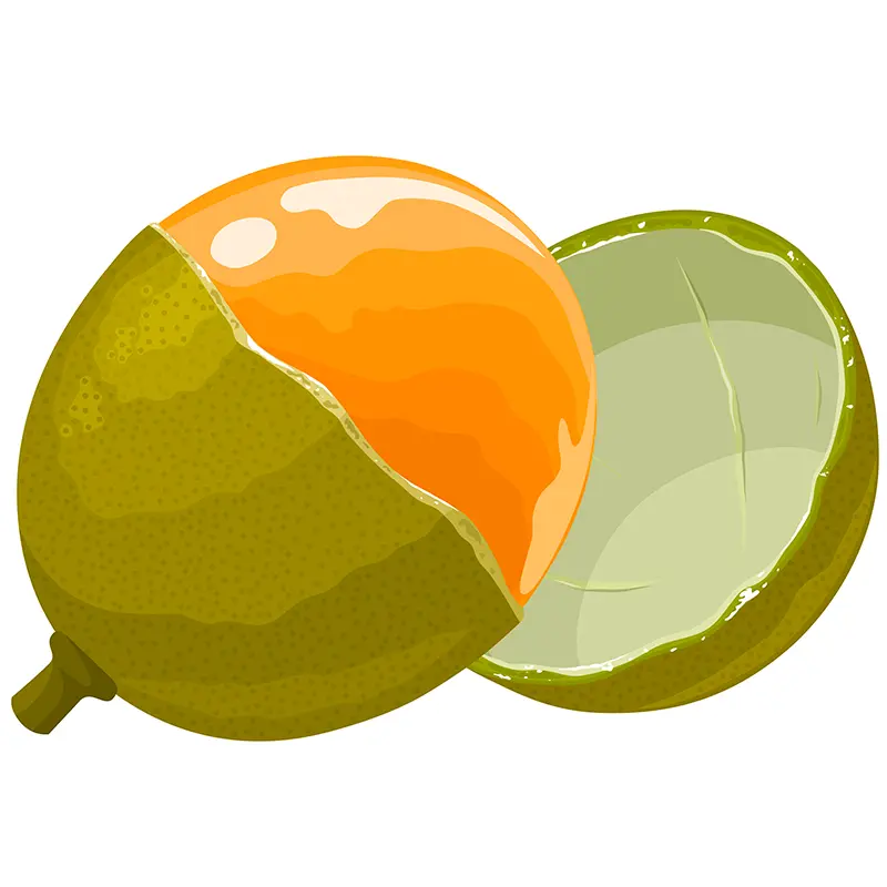 Quả Quenepa