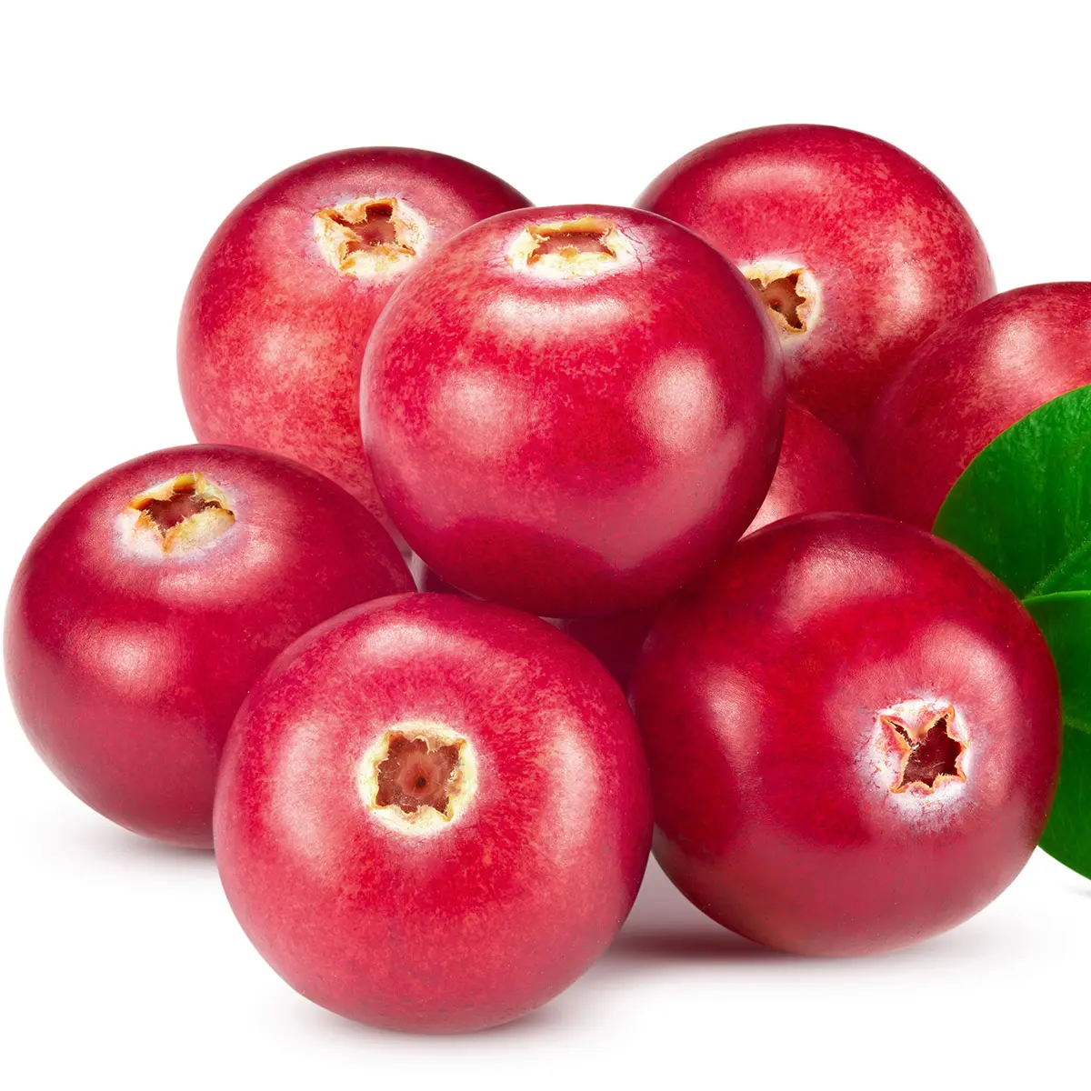 Quả Mọng Đỏ