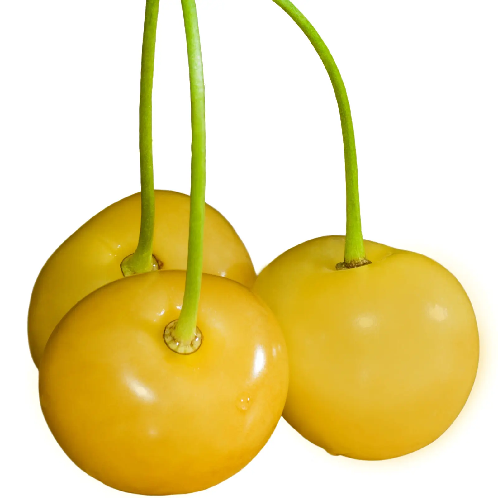 Quả anh đào vàng