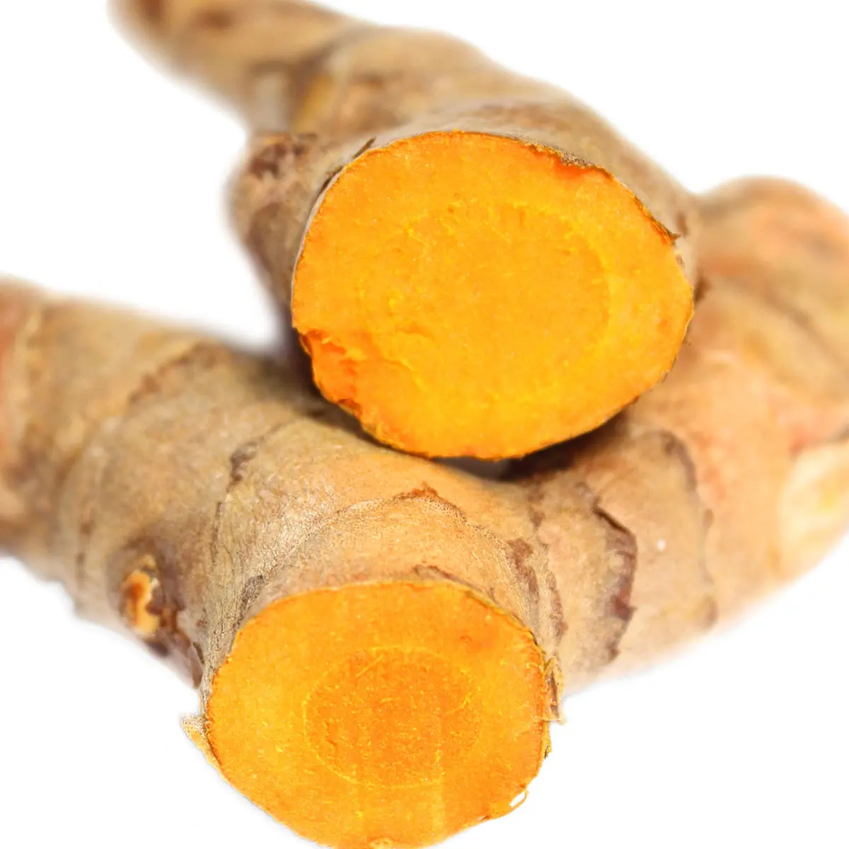 Nghệ