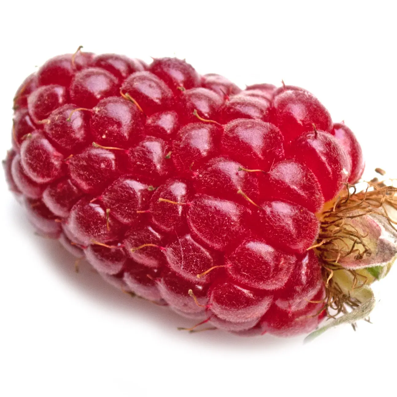 Dâu Tayberry