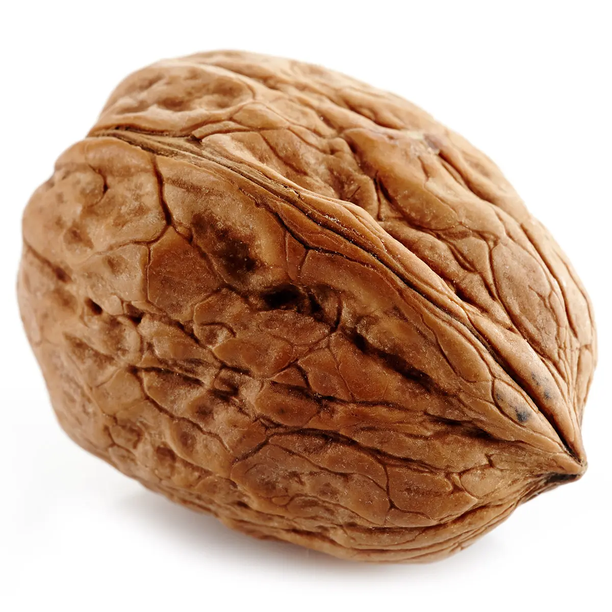 Hạt óc chó