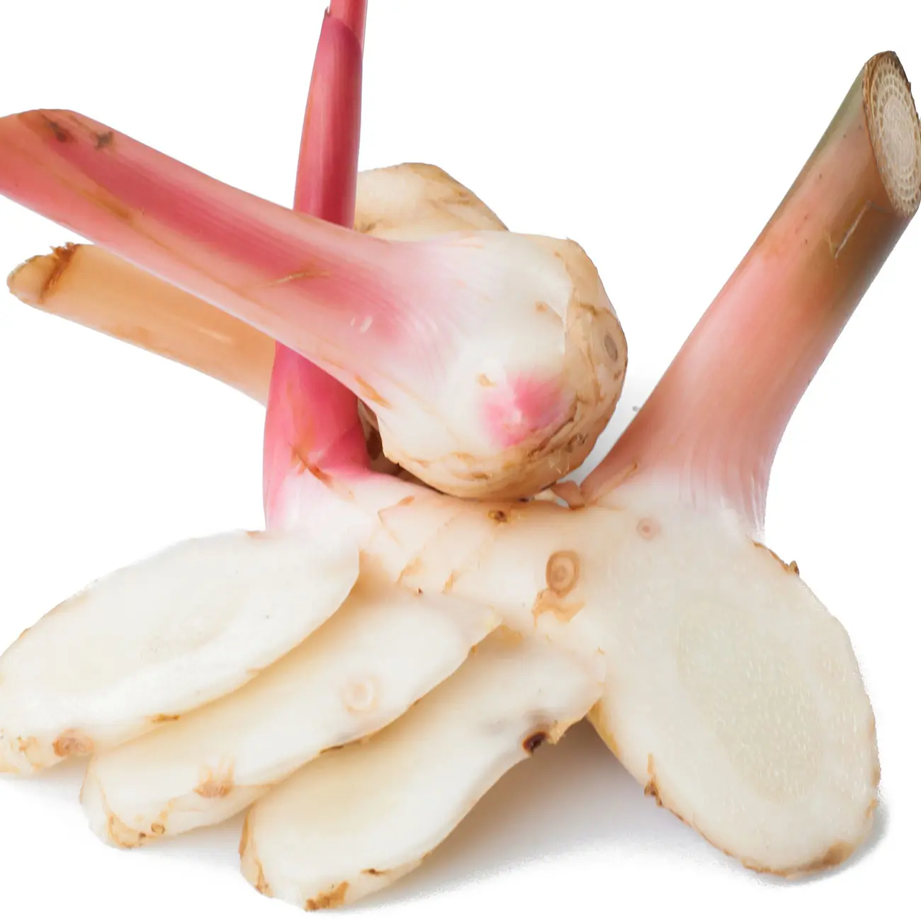 Cây riềng nếp