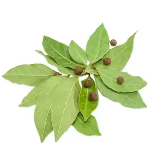 Lá Ớt Pimento