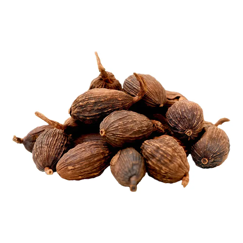 Bạch đậu khấu đen