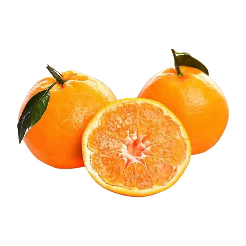 Quýt hồng