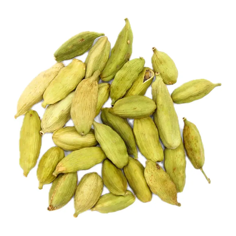 Bạch đậu khấu
