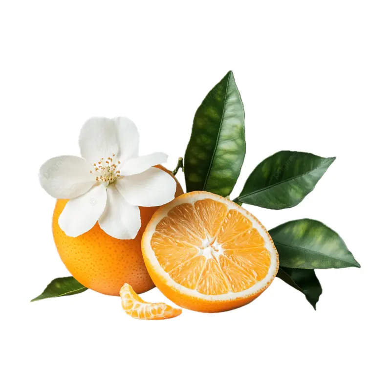 Các nốt hương hoa và cam chanh
