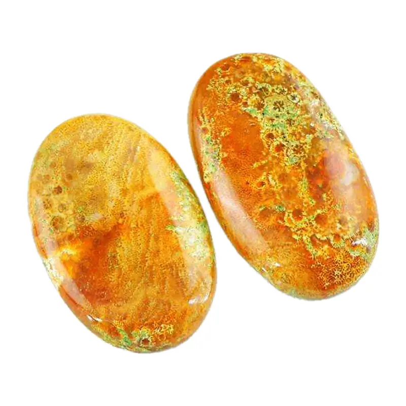 Hổ phách san hô