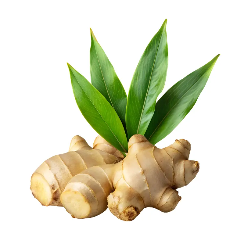 Lá gừng