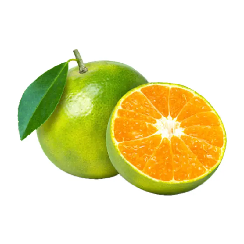 Quýt xanh