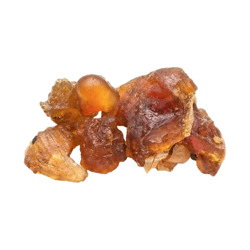 Mộc dược Indonesia