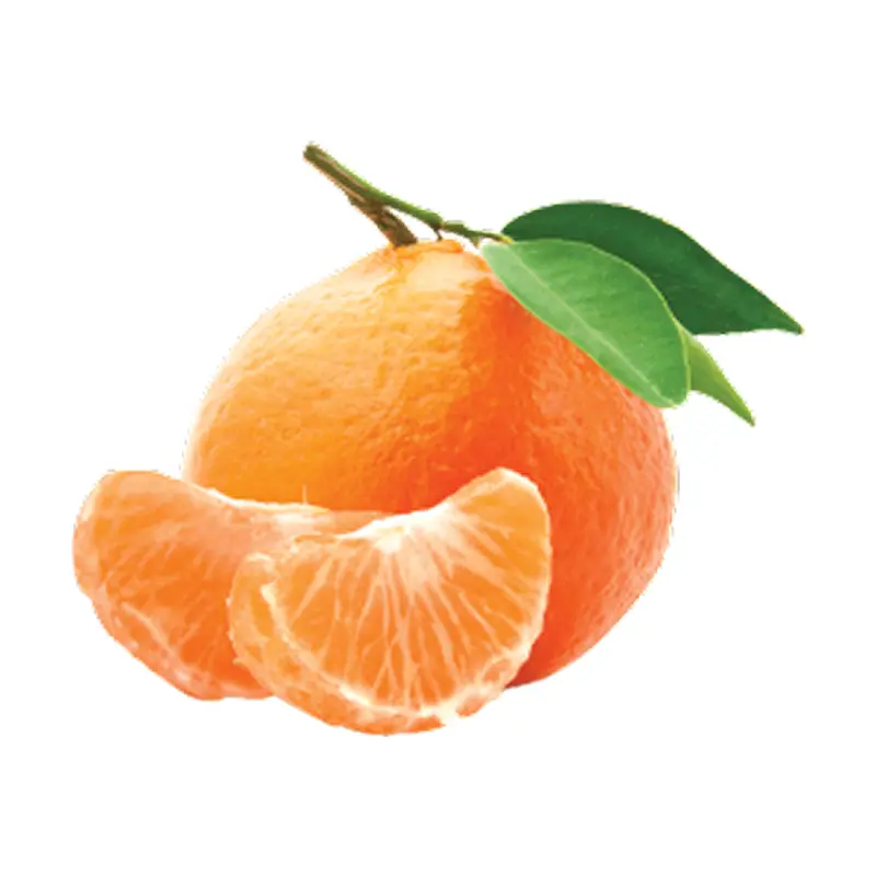 Quýt hồng Ý