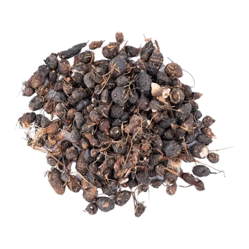 Cỏ gấu