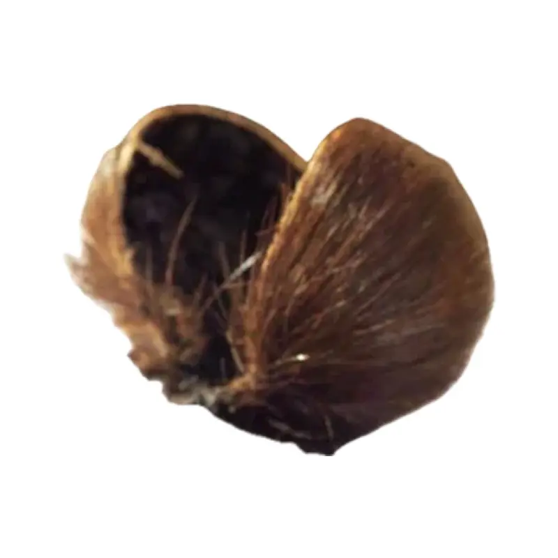 Xạ hương tự nhiên