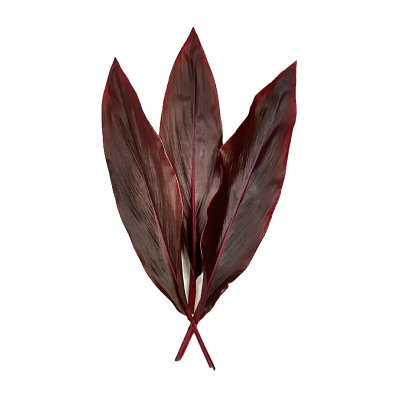 Lá huyết dụ