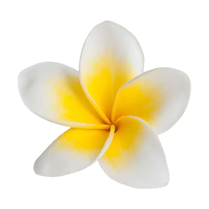 Sứ Tahiti