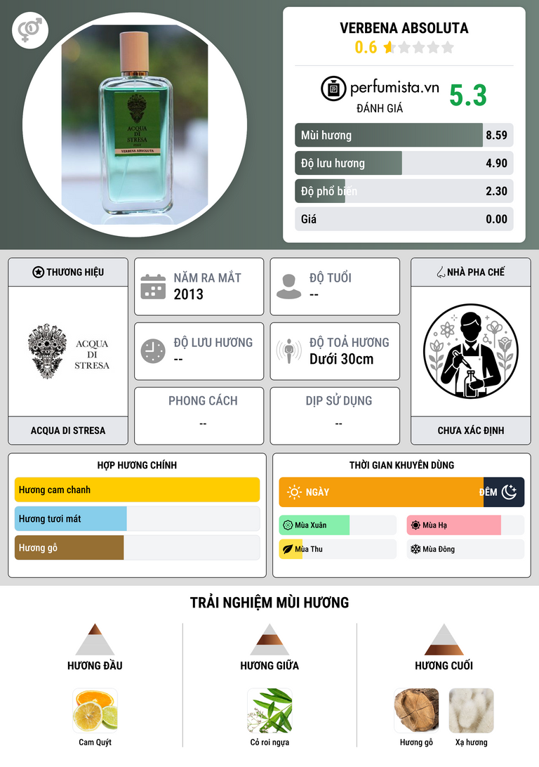 Thông tin chi tiết Verbena Absoluta