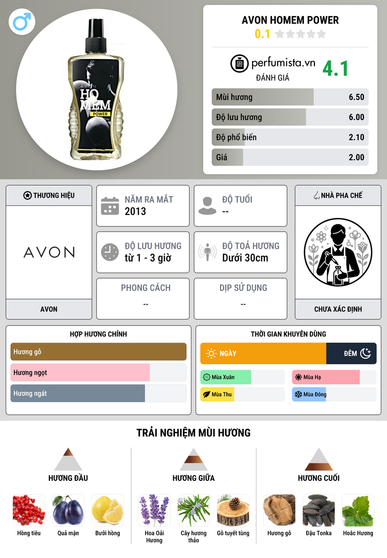 Thông tin chi tiết Avon Homem Power