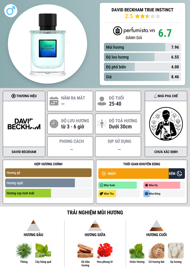 Thông tin chi tiết David Beckham True Instinct