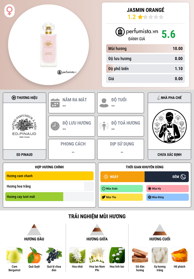 Thông tin chi tiết Jasmin Orangé
