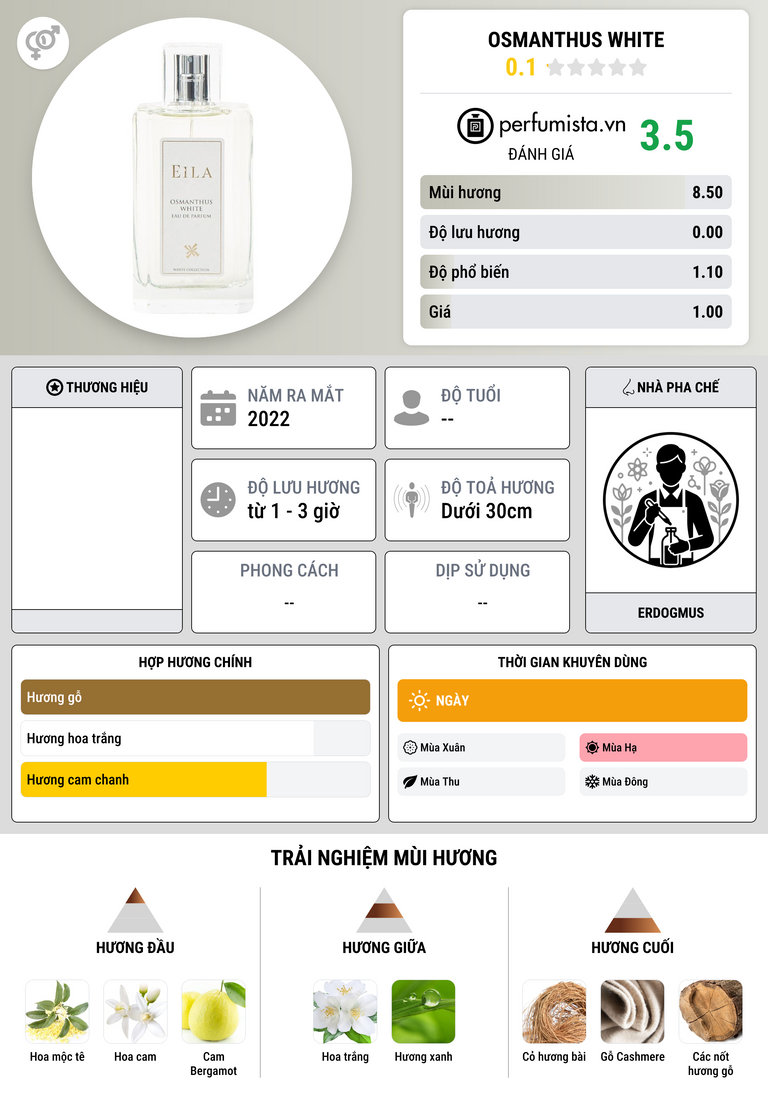 Thông tin chi tiết Osmanthus White