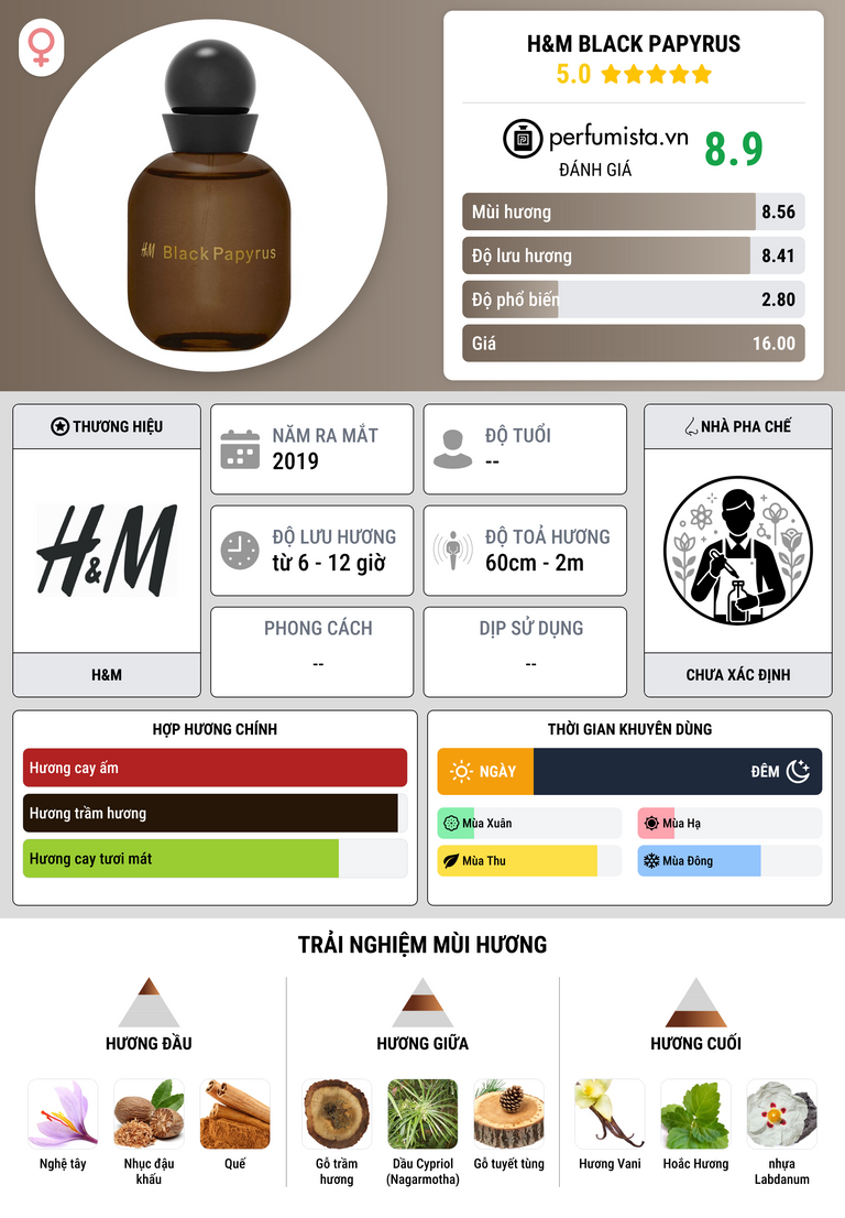 Thông tin chi tiết H&M Black Papyrus