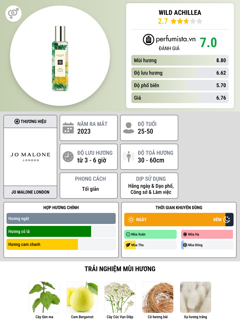 Thông tin chi tiết Wild Achillea