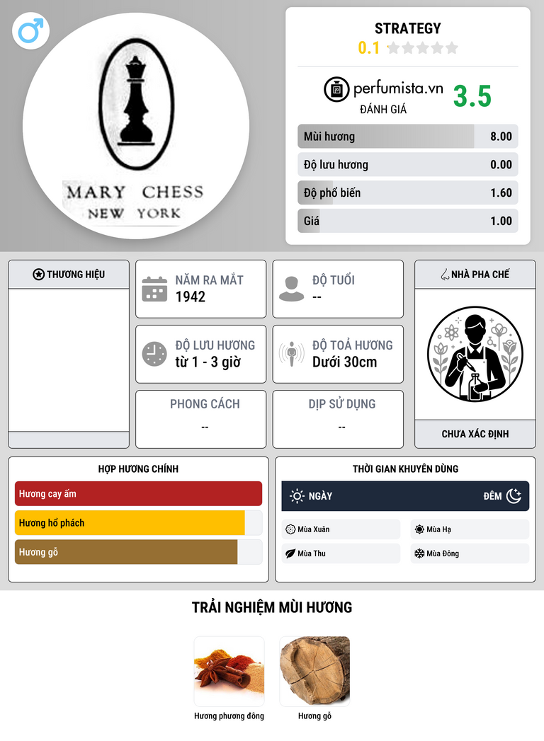 Thông tin chi tiết Strategy