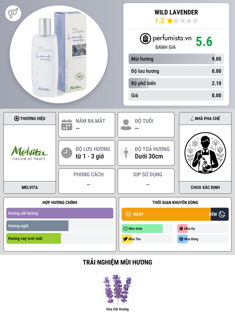 Thông tin chi tiết Wild Lavender